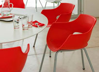 decoracion